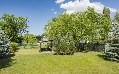 Stefano: Shrub, Garden, Shade, Spring, Lawn, Woody Plant, Yard, Landscaping, Backyard, Park