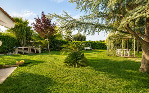 Villa Cigno Reale: Grass, Tree, Green, Leaf, Vegetation, Garden, Shrub, Landscape, Lawn