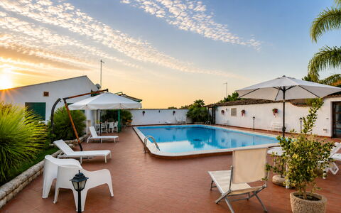 Villa Cigno Reale: Swimming Pool, Resort, Hotel, Houseplant