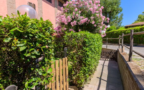 La Molletta: Flower, Shrub, Pink, Garden, Spring, Yard, Landscaping, Backyard, Fence