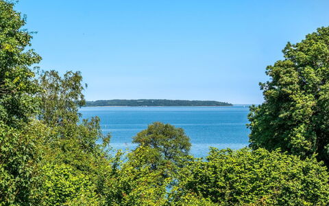 Leea - 100M from the Sea: Blue, Water, Water Resources, Body Of Water, Green, Leaf, Vegetation, Natural Landscape, Summer, Horizon