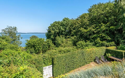 Leea - 100M from the Sea: Blue, Green, Leaf, Vegetation, Shrub, Plant Community, Coastal And Oceanic Landforms, Hedge, Groundcover, Sea