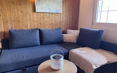 Chez Teddy Ug: Furniture, Couch, Cushion, Pillow, Living Room, Throw Pillow, Linens, Lamp