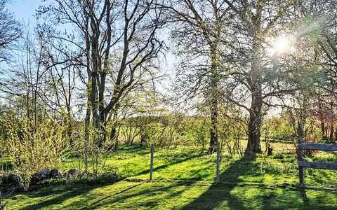 Schlönis Koppelblick: Blue, Branch, Green, Leaf, Grass, Tree, Nature, Natural Environment, Vegetation, Natural Landscape