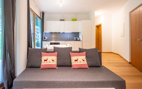 Cuolm Liung Apt. 52: Interior Design, Furniture, Flooring, Wood, Floor, Room, Couch, Living Room, Ceiling, Apartment