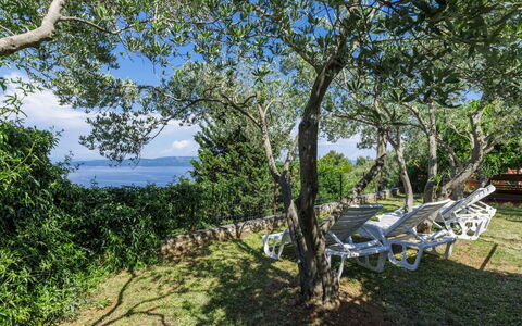 Lado Mediterraneo: Furniture, Outdoor Furniture, Chair, Shade, Outdoor Table, Houseplant, Patio, Yard, Design, Balcony