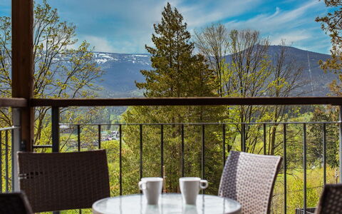 Panorama: Furniture, Outdoor Furniture, Chair, Shade, Outdoor Table, Houseplant, Patio, Yard, Design, Balcony