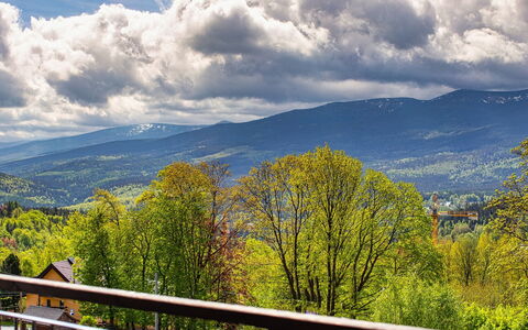 Panorama: Furniture, Outdoor Furniture, Chair, Shade, Outdoor Table, Houseplant, Patio, Yard, Design, Balcony