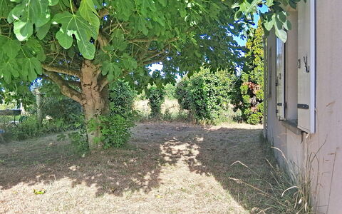 Arceau 3: Furniture, Outdoor Furniture, Chair, Garden, Wood Stain, Lawn, Hardwood, Shade, Backyard