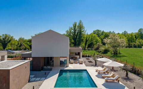 Orla: Furniture, Outdoor Furniture, Chair, Garden, Wood Stain, Lawn, Hardwood, Shade, Backyard