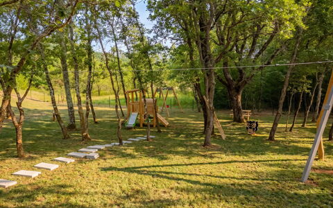 Eora: Tree, Grass, Leaf, Branch, Wood, Trunk, Land Lot, Plain, Spring, Lawn