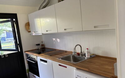 Siggi - 400M from the Sea