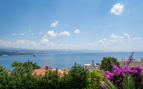 Salvia: Residential Area, Apartment, Estate, Resort, Mansion, Balcony, Villa, Swimming Pool