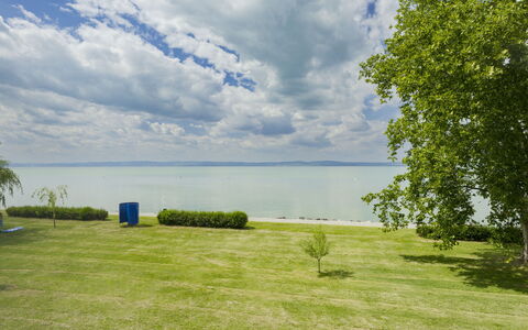 Patti 2: Residential Area, Apartment, Estate, Resort, Mansion, Balcony, Villa, Swimming Pool