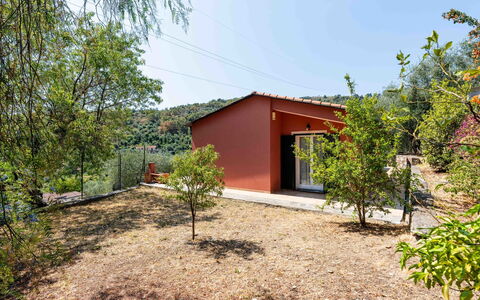 Orto di Silvia: Leaf, Landscape, Land Lot, Rural Area, Slope, Shade, Garden Buildings, Farmhouse