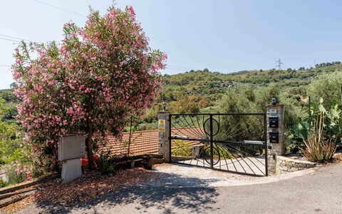 Orto di Silvia: Shrub, Garden, Fence, Pole, Landscaping, Home Fencing