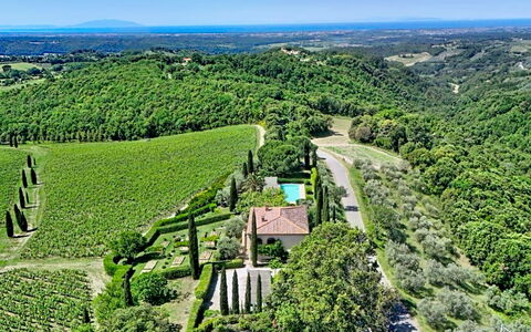 Cairaossa Tuscan Retrait: Furniture, Interior Design, Flooring, Floor, Wood Flooring, Wood, Chair, Ceiling, Kitchen & Dining Room Table, Table