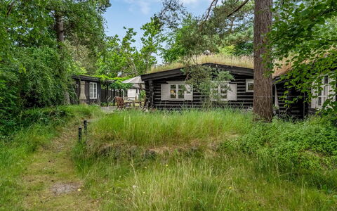 Armund - 50M from the Sea: Shrub, Rural Area, Cottage, Land Lot, Home, Garden, Garden Buildings, Estate, Log Cabin