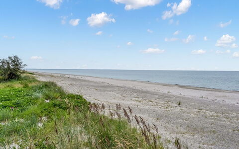 Armund - 50M from the Sea: Sky, Blue, Body Of Water, Natural Environment, Horizon, Coast, Cloud, Beach, Coastal And Oceanic Landforms