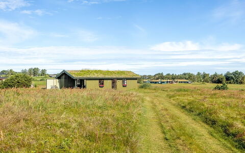 Satu - 1.5Km from the Sea: Grass, Green, Grassland, Natural Landscape, Plain, Rural Area, Ecoregion, Land Lot, Landscape, Prairie