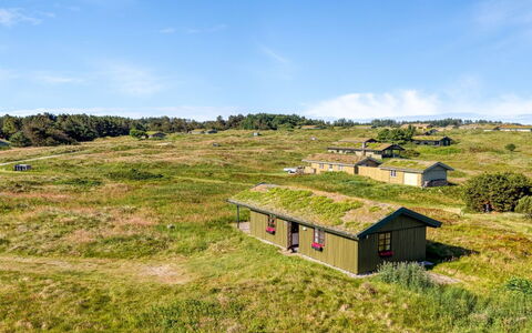 Satu - 1.5Km from the Sea: Grass, Grassland, Ecoregion, Landscape, Rural Area, Land Lot, Plain, Plant Community, Cottage, Roof