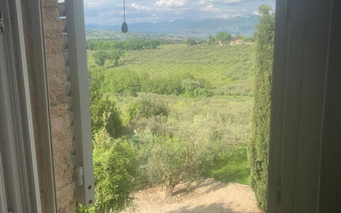 Il Casale al Colle: Sunlight, Glass, Plantation, Daylighting