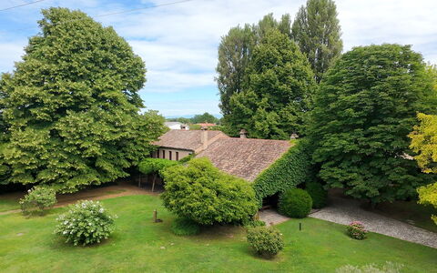 Villa Dorina: Tree, Leaf, Grass, Green, Shrub, House, Landscape, Lawn, Home