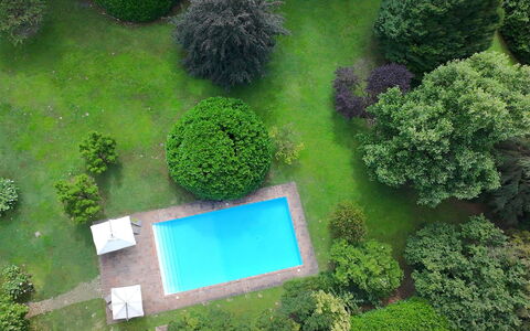 Villa Dorina: Swimming Pool, Shrub, Garden, Lawn, Landscaping, Backyard, Yard, Leisure, Resort, Shade