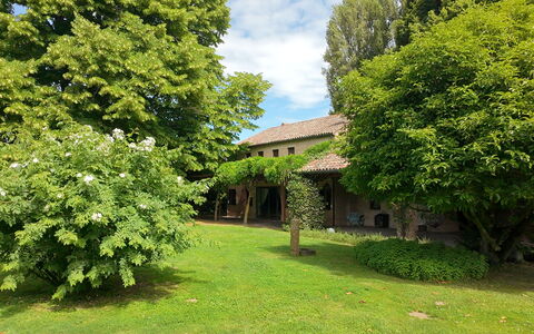 Villa Dorina: Tree, Leaf, Shrub, Lawn, Garden, Cottage, Estate, Backyard, Farmhouse