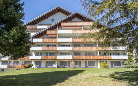 Val Signina 2-9: Siding, Larch