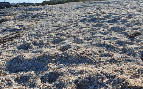 Gundula - 1.3Km from the Sea: Geology, Soil, Sand, Winter