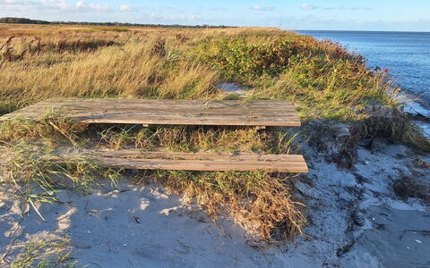 Gundula - 1.3Km from the Sea: Natural Environment, Horizon, Ecoregion, Summer, Sea, Landscape, Coastal And Oceanic Landforms, Grassland, Plant Community, Coast