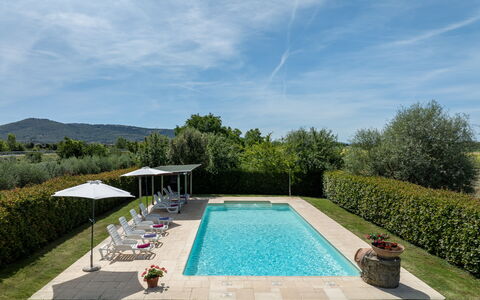 Il Cipresso, Casa Lucia, Cortona: Swimming Pool, Garden, Resort, Composite Material, Outdoor Furniture, Landscaping, Shade, Estate, Hacienda, Eco Hotel