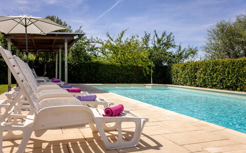 Il Cipresso, Casa Martina, Cortona: Swimming Pool, Outdoor Furniture, Furniture, Composite Material, Garden, Shade, Resort, Umbrella, Landscaping, Chair