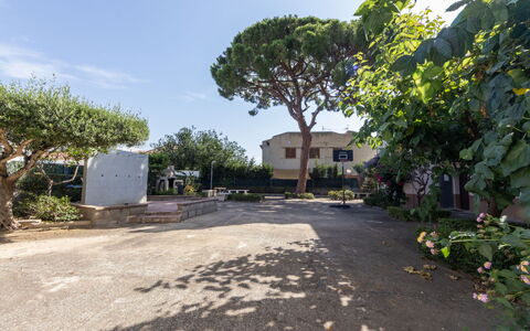 Rosa Dels Vents: Road Surface, Shrub, Public Space, Residential Area, Human Settlement, Shade, Garden, Driveway, Landscaping, Yard