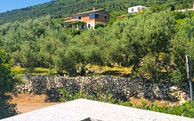 Accommodation:&nbsp;Valerija 350.1