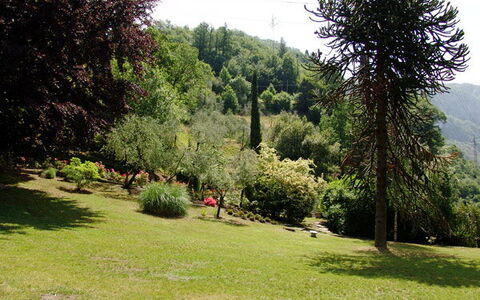 Robilant: Shrub, Garden, Botanical Garden, Park, Landscaping, Evergreen, Pine Family, Outdoor Bench