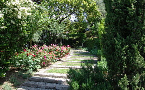 Robilant: Flower, Leaf, Green, Nature, Garden, Vegetation, Shrub, Plant Community, Groundcover