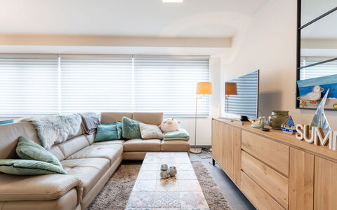 Cosy @ Sea with Terrace: Furniture, Interior Design, Couch, Flooring, Floor, Wood, Living Room, Ceiling, Apartment, Home