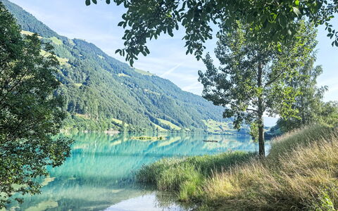 Ferienwohnung Enz: Water, Green, Body Of Water, Water Resources, Natural Landscape, Summer, Hill, Highland, Watercourse, Bank