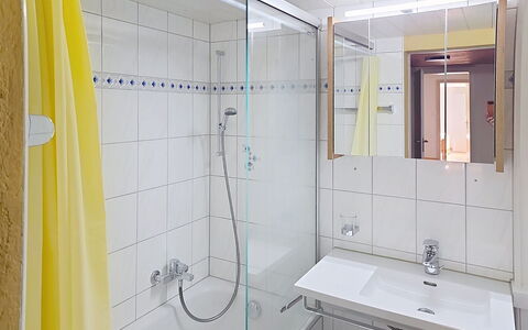 Ferienwohnung Enzian: Bathroom, Plumbing Fixture, Interior Design, Flooring, Bathroom Sink, Floor, Sink, Tap, Plumbing, Shower