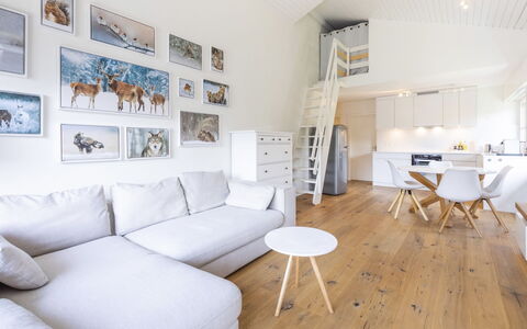 Casa Curnera 8: Interior Design, Furniture, Flooring, Wall, Floor, Couch, Wood, Ceiling, Living Room, Wood Flooring