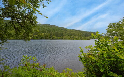 Loch Oich View (Lodge 6): Blue, Water, Water Resources, Body Of Water, Green, Nature, Natural Environment, Natural Landscape, Leaf, Vegetation