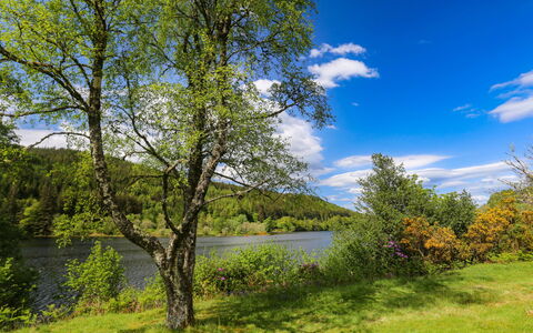 Loch Oich View (Lodge 6): Furniture, Kitchen & Dining Room Table, Chair, Floor, Sea, Balcony, Ocean, Resort, Eco Hotel, Dining Room