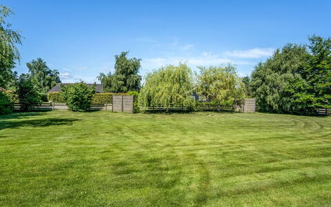 Gertraud - 600M from the Sea: Blue, Tree, Grass, Grassland, Plain, Land Lot, Lawn, Garden, Meadow