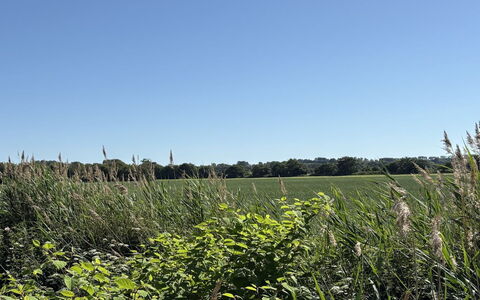 Vilmar - 450M from the Sea: Sky, Blue, Green, Grass, Natural Environment, Vegetation, Grassland, Summer, Ecoregion, Plant Community