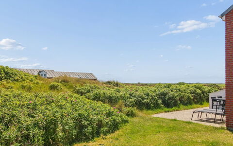 Majvi - 2.3Km from the Sea: Grass, Green, Vegetation, Shrub, Grassland, Landscape, Rural Area, Plant Community, Land Lot