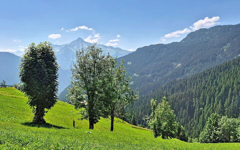 Eben: Mountainous Landforms, Mountain, Green, Tree, Nature, Natural Environment, Hill, Natural Landscape, Vegetation, Highland