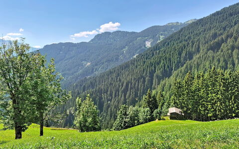 Eben: Mountainous Landforms, Green, Tree, Mountain, Natural Landscape, Vegetation, Hill, Forest, Highland, Summer
