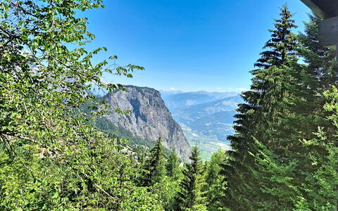 Le Mayen D'Ovronnaz: Mountainous Landforms, Mountain, Green, Tree, Leaf, Vegetation, Forest, Highland, Hill, Wilderness